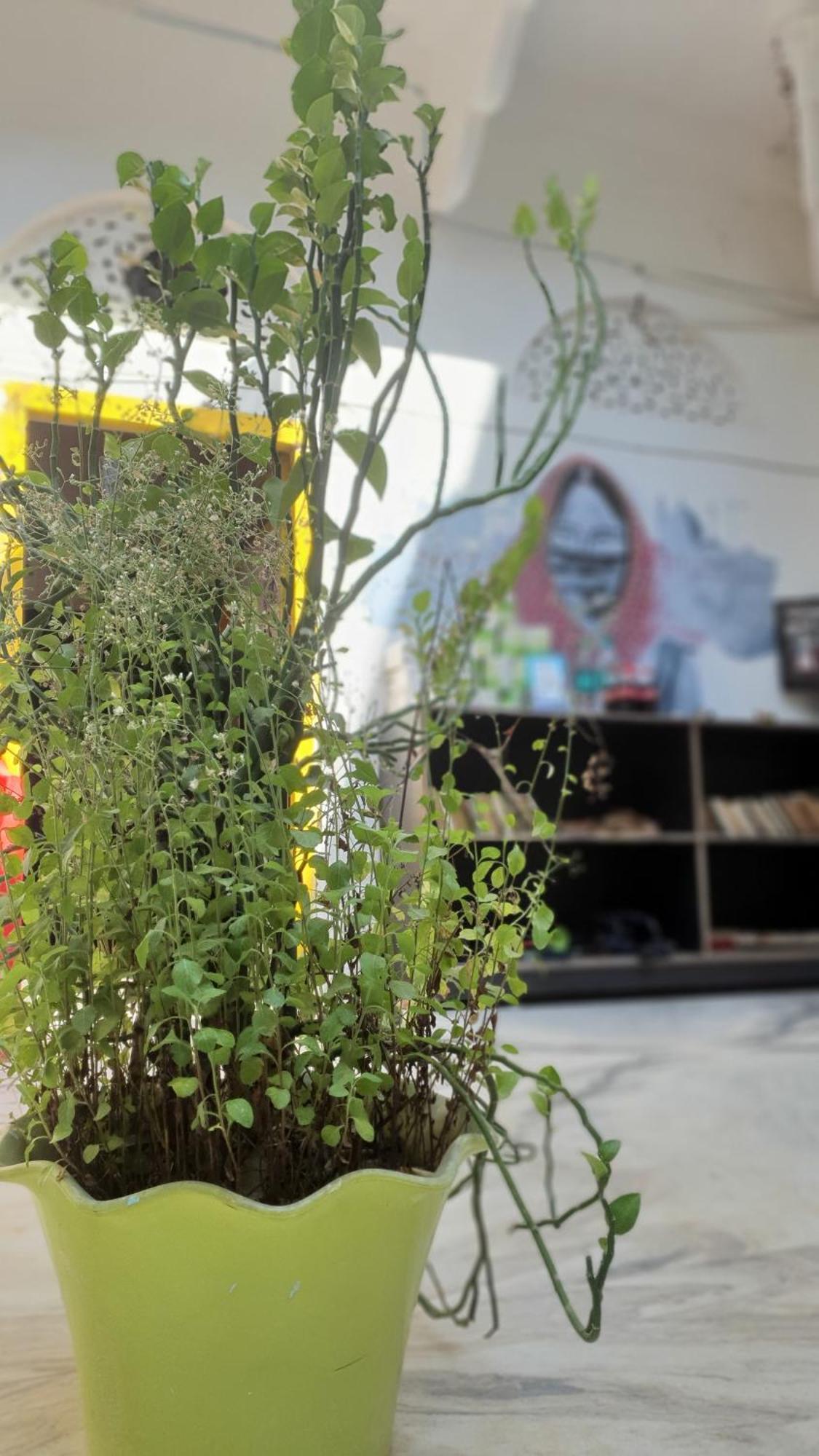 Anand Hostel Πουσκάρ Εξωτερικό φωτογραφία
